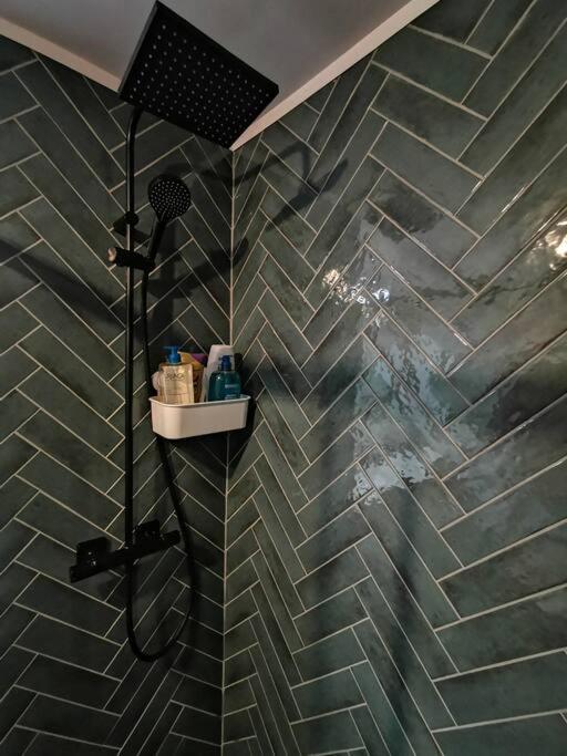 Chambre Chez Habitant Proche Metro Тулуза Екстер'єр фото